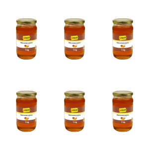 TOPSELLER Miód Wielokwiatowy 1 kg X6